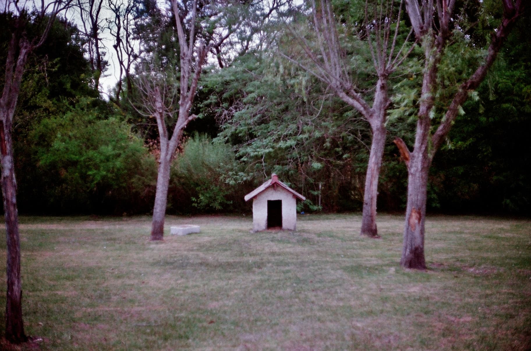 Galería 5