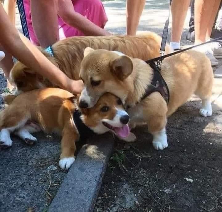 Foto de Victoria
